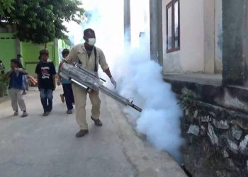 Tren DBD di Kendari Meningkat, Kini sudah Mencapai 63 Kasus