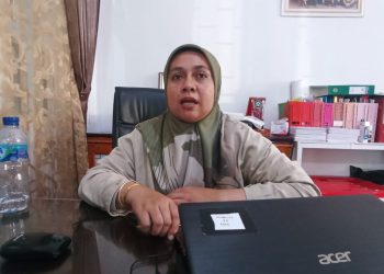 Pertengahan Januari Tren DBD di Kendari Melonjak, Capai 296 Kasus 2 Meninggal Dunia