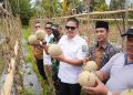 Bupati Koltim Abdul Azis: Budidaya Melon Bagian dari Upaya Tekan Laju Inflasi