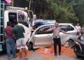 Hilang Kendali, Minibus Tabrak Truk Di Jalan Trans Sulawesi Koltim, Sopir Meninggal Dunia