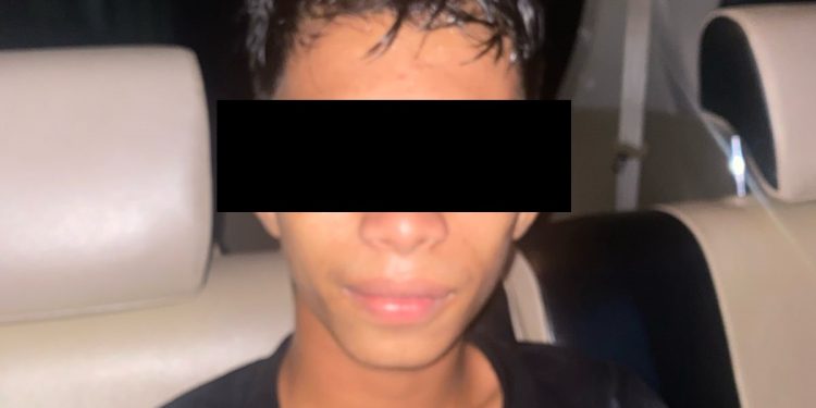 Pelaku penikaman polisi