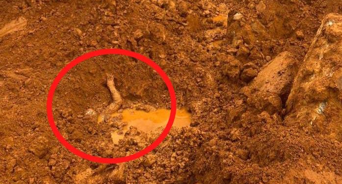 Korban tertimbun ore Nikel