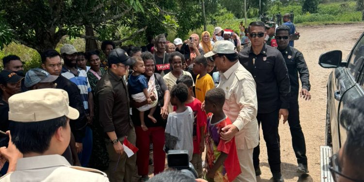 Presiden Prabowo Tinjau Proyek Cetak Sawah Satu Juta Hektare di Papua Selatan (Istimewa)