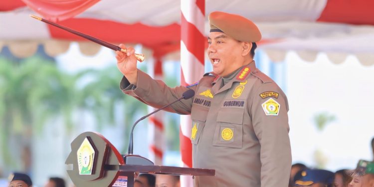 Pj Gubernur Sultra, Andap Budhi Revianto