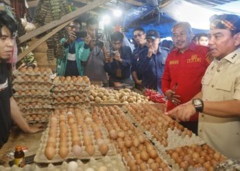 Pj Gubernur Sultra Sidak Harga dan Ketersediaan Pangan Jelang Ramadan