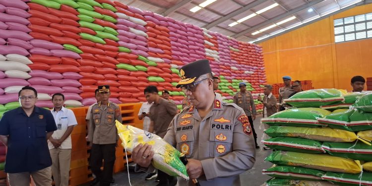 Kapolda Sultra, Irjen Pol Dwi Irianto
