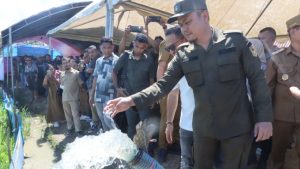 Inovasi Pemkab Kolaka Timur Tingkatkan Kesejahteraan Petani, Luncurkan Progam Listrik Masuk Sawah, Senin (28/7/2025). (Foto: Istimewa)