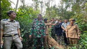 Tim Kemenhan dipimpin Kolonel Laut Syamsul Bahari, bersama Wakil Bupati Kolaka Timur, H Yosep Sahaka meninjai lokasi persiapan pembangunan Brigif Yonif di Desa Tongauna, Kecamatan Ueesi, Selasa (22/7/2025). (Foto: Istimewa)