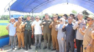 Pemda Kolaka Timur dan Anggota DPR RI Jaelani Wujudkan Ketahanan Pangan dan Modernisasi Pertanian. (Foto: Istimewa)