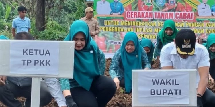 Wakil Bupati Buton Utara, Rahman, Ajak Masyarakat Tanam Cabai di Pekarangan untuk Ketahanan Pangan, Rabu (16/7/2025). (Foto: Istimewa)