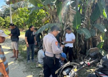 Anak Perempuan Usia 10 Tahun Ditemukan Tewas Mengenaskan di Perkebunan Cokelat Kolaka Timur, Jumat (5/9/2025) Pagi. (Foto: Istimewa)