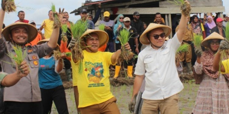 Hari Tani Nasional, Anggota DPR RI Jaelani: Momentum Pemerintah Siapkan Peta Kebangkitan Pertanian. (Foto: Dok Istimewa)