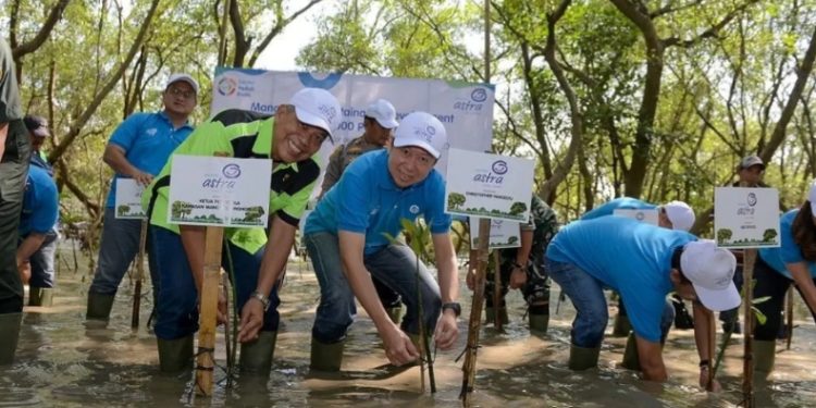Aksi Hijau Astra Financial Menanam Masa Depan Kehidupan Pesisir. (Foto: Istimewa)