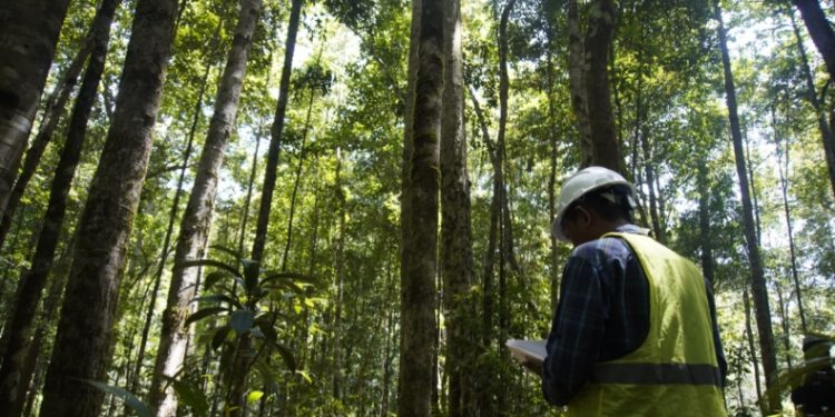 Sepanjang 2025, PT GKP Catat Capaian Lingkungan Signifikan di Pulau Wawonii. (Foto: Istimewa)