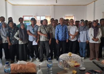 Buton Utara Dapat Bantuan 1.000 Hektare Jambu Mete dari Kementan Tahun 2026. (Foto: Istimewa)