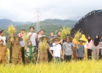 Anggota Komisi IV DPR RI, Jaelani, hadiri Pesta Panen Padi Sawah di Kecamatan Iwoimendaa, Kabupaten Kolaka, Senin (4/5/2026). (Foto: Istimewa)