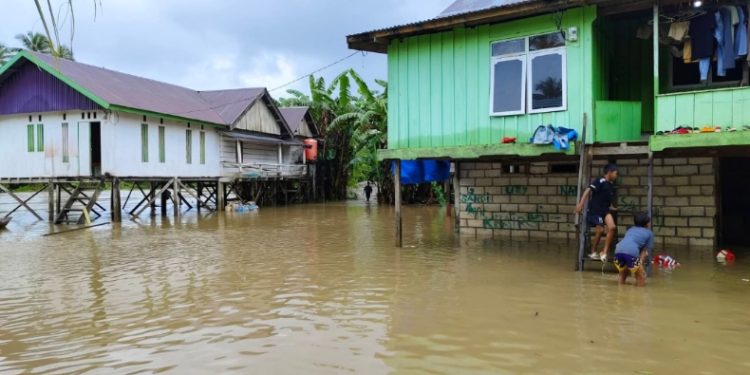 Banjir Rendam Permukiman Warga di Bantaran Sungai Langkumbe Buton Utara, Jumat (8/5/2026). (Foto: Istimewa)