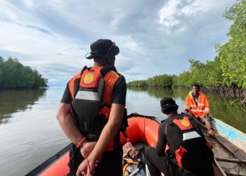 Hari Kedua Pencarian, Wanita Paruh Baya yang Hilang di Sungai Bone Balano Mubar Belum Ditemukan, Minggu (24/5/2026). (Foto: Dok Basarnas Kendari)