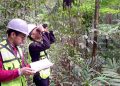 Kolaborasi Pemantauan Biodiversitas PT GKP Ungkap Spesies Baru di Pulau Wawonii, Konawe Kepulauan. (Foto: Istimewa)