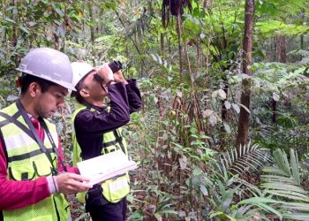 Kolaborasi Pemantauan Biodiversitas PT GKP Ungkap Spesies Baru di Pulau Wawonii, Konawe Kepulauan. (Foto: Istimewa)
