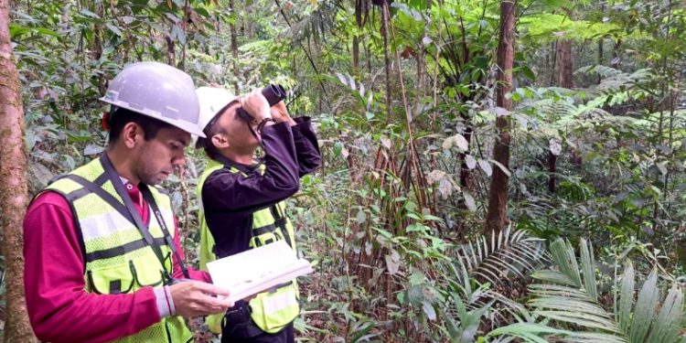 Kolaborasi Pemantauan Biodiversitas PT GKP Ungkap Spesies Baru di Pulau Wawonii, Konawe Kepulauan. (Foto: Istimewa)
