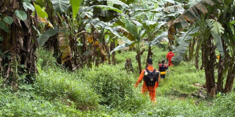 Tim SAR Gabungan temukan orang hilang di kebun Desa Lakomea, Konsel dalam keadaan selamat, Selasa (12/5/2026). (Foto: Istimewa)