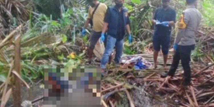 Hilang Empat Hari, Lansia di Konawe Ditemukan Meninggal di Kebun Sagu, Minggu (7/6/2026). (Foto: Istimewa)